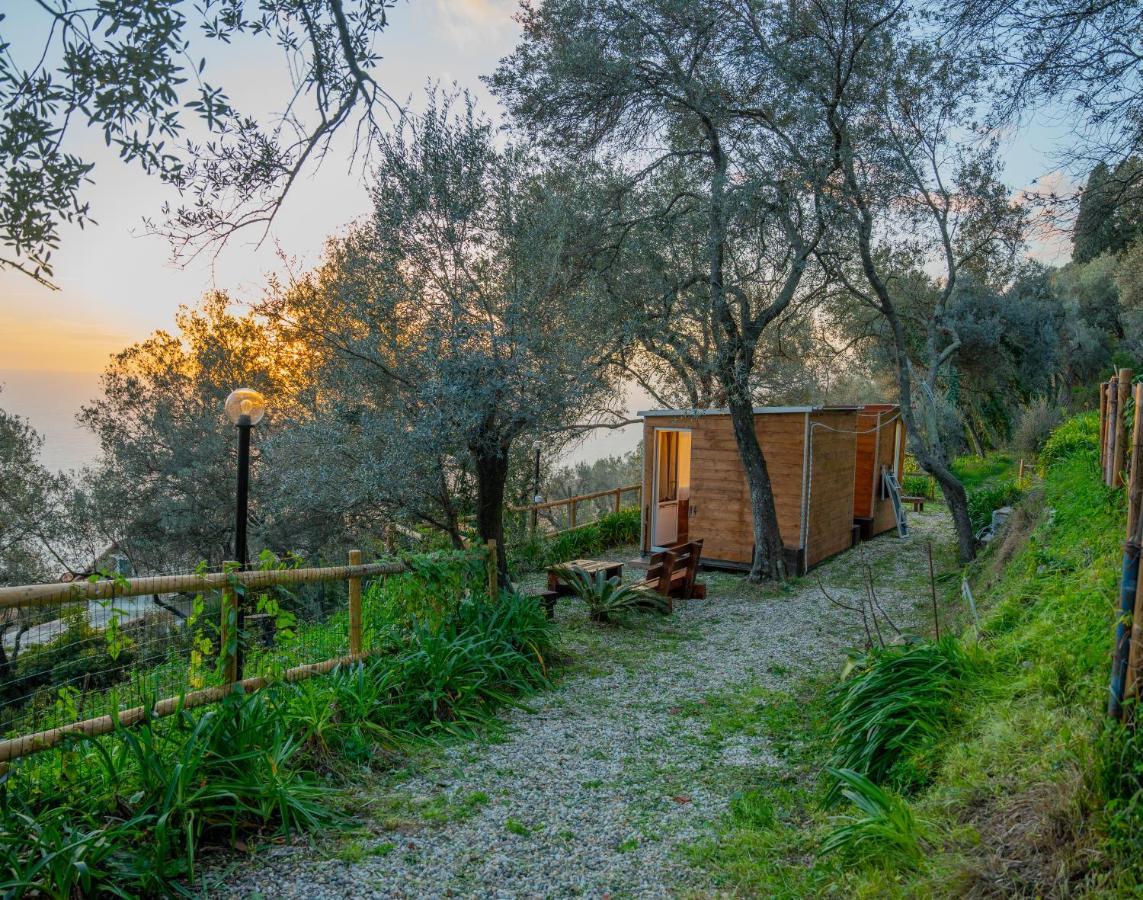 Agriturismo S.Ilario Cenova Dış mekan fotoğraf