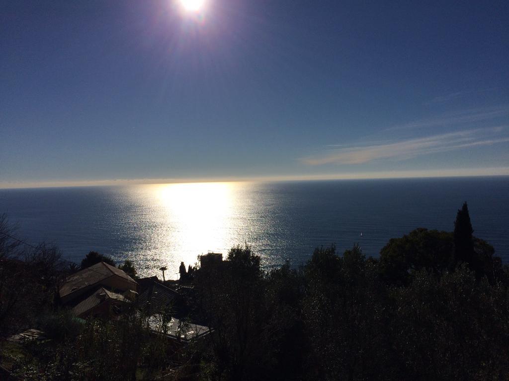 Agriturismo S.Ilario Cenova Oda fotoğraf