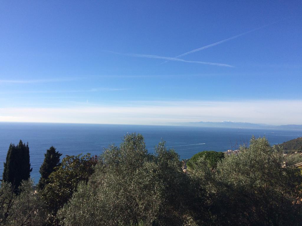 Agriturismo S.Ilario Cenova Oda fotoğraf